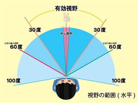 人視野角度